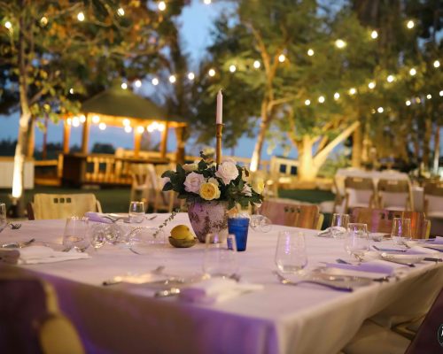 WhatsApp Image 2023-04-30 at 13.17.32