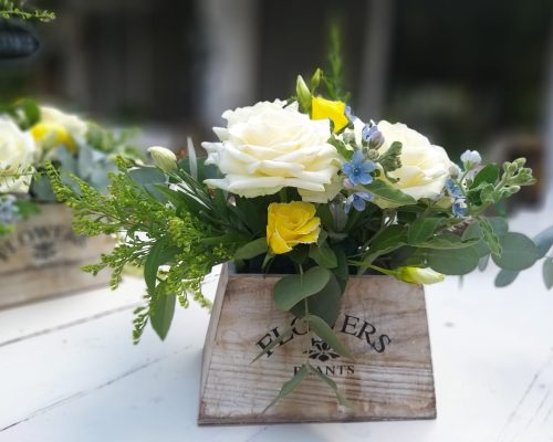 WhatsApp Image 2023-04-30 at 13.17.36 (1)