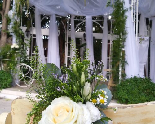 WhatsApp Image 2023-04-30 at 13.17.36 (2)