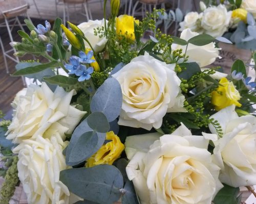 WhatsApp Image 2023-04-30 at 13.17.36