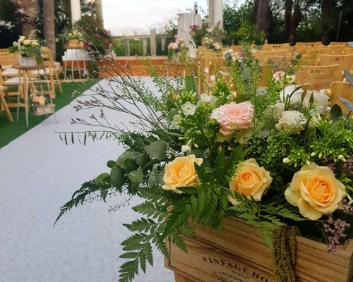 WhatsApp Image 2023-04-30 at 13.17.39