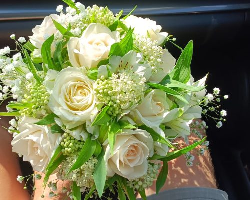 WhatsApp Image 2023-04-30 at 13.17.48