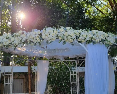 WhatsApp Image 2023-04-30 at 13.18.01