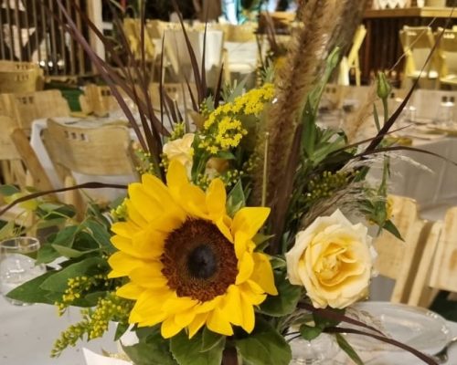 WhatsApp Image 2023-06-04 at 12.45.29 (1)