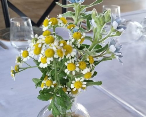 WhatsApp Image 2023-06-04 at 12.45.29