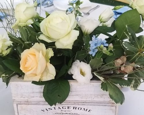 WhatsApp Image 2023-06-04 at 12.45.30