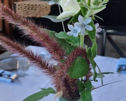 WhatsApp Image 2023-06-04 at 12.45.34 (1)